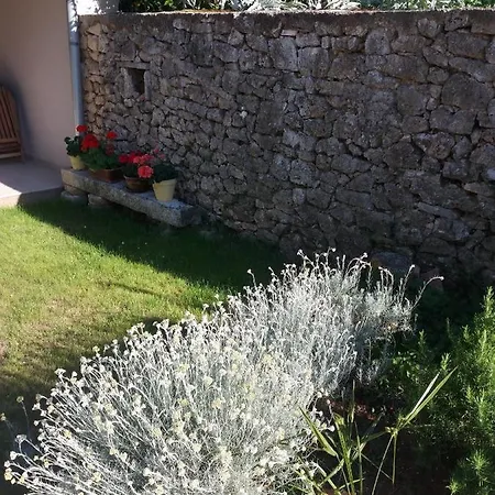House Mergi 2